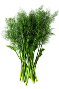 Fennel fronds - 50g