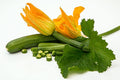 Courgette - 450g
