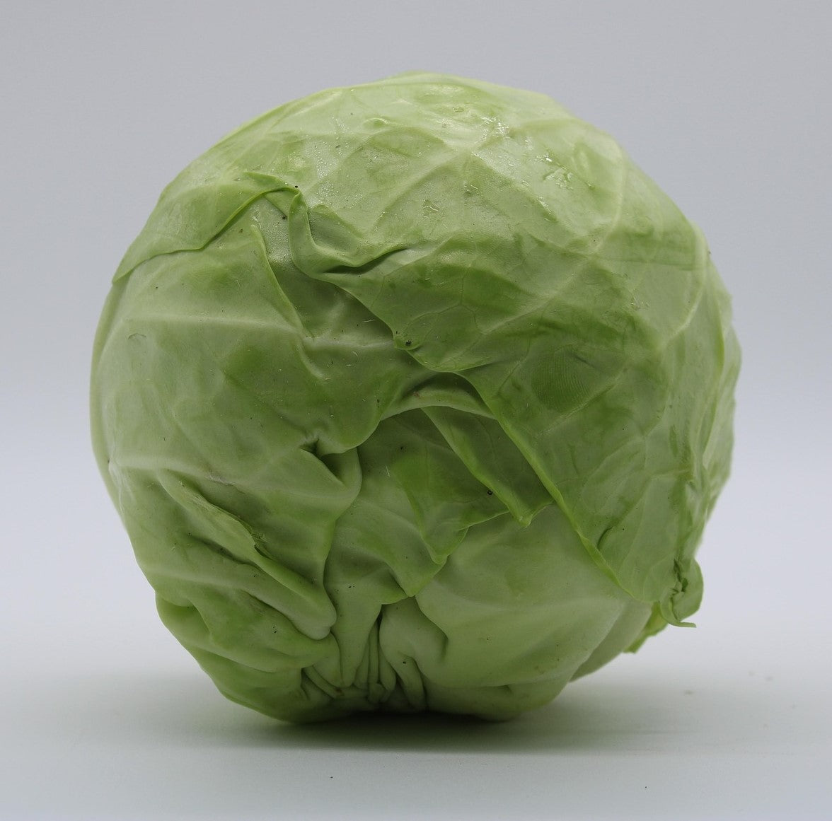 Cabbage