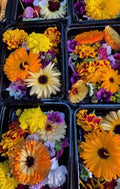 Edible flowers - 10g