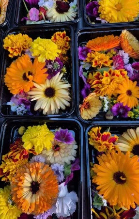 Edible flowers - 10g