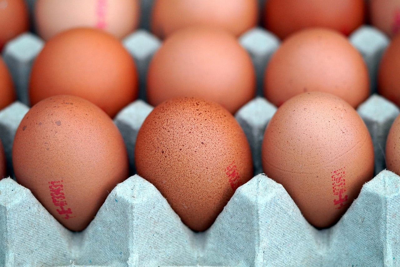 Eggs (18's) Pasture Raised