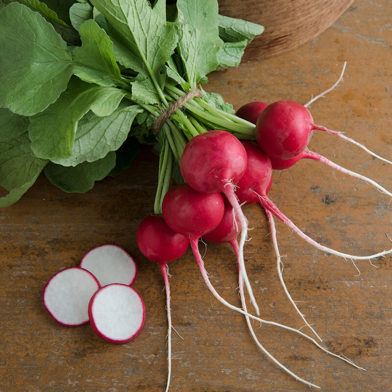 Radish - per bunch