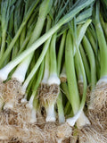 Spring Onion - per 100g bunch