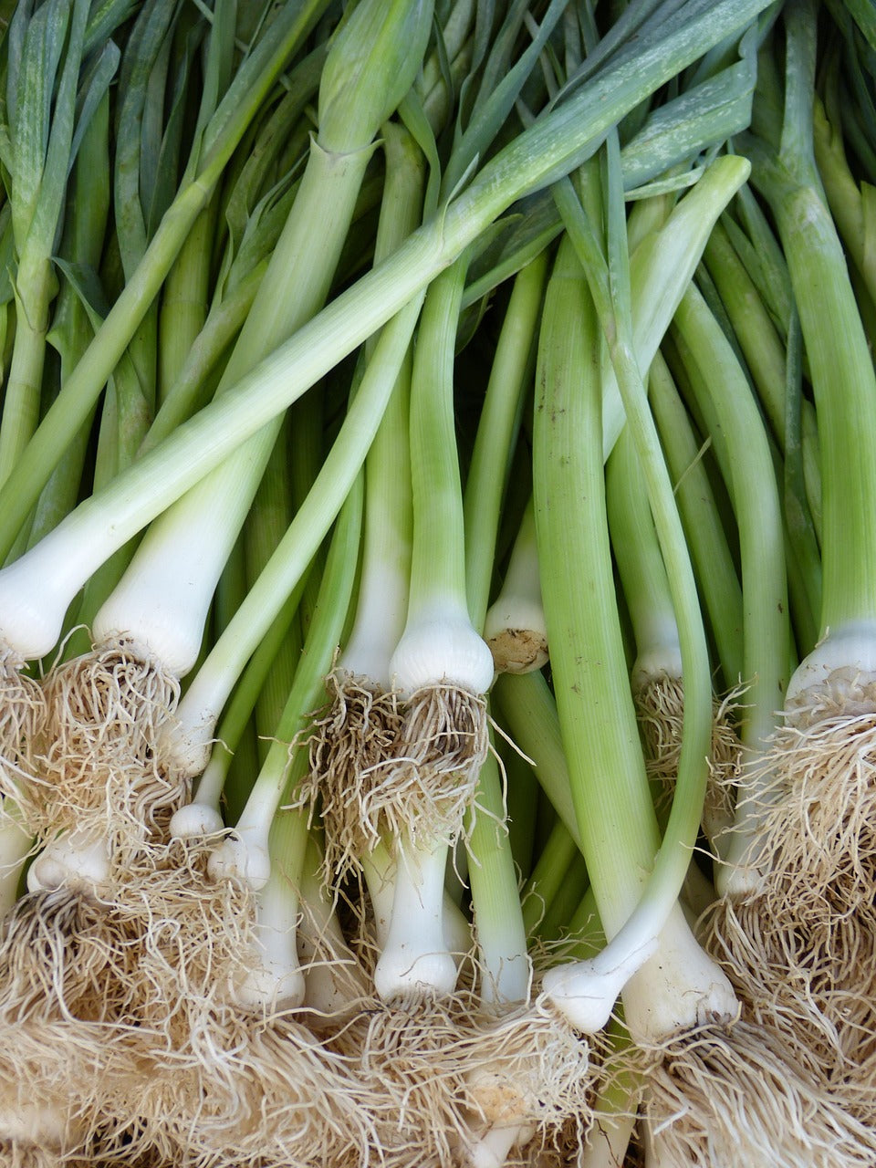 Spring Onion - per 100g bunch